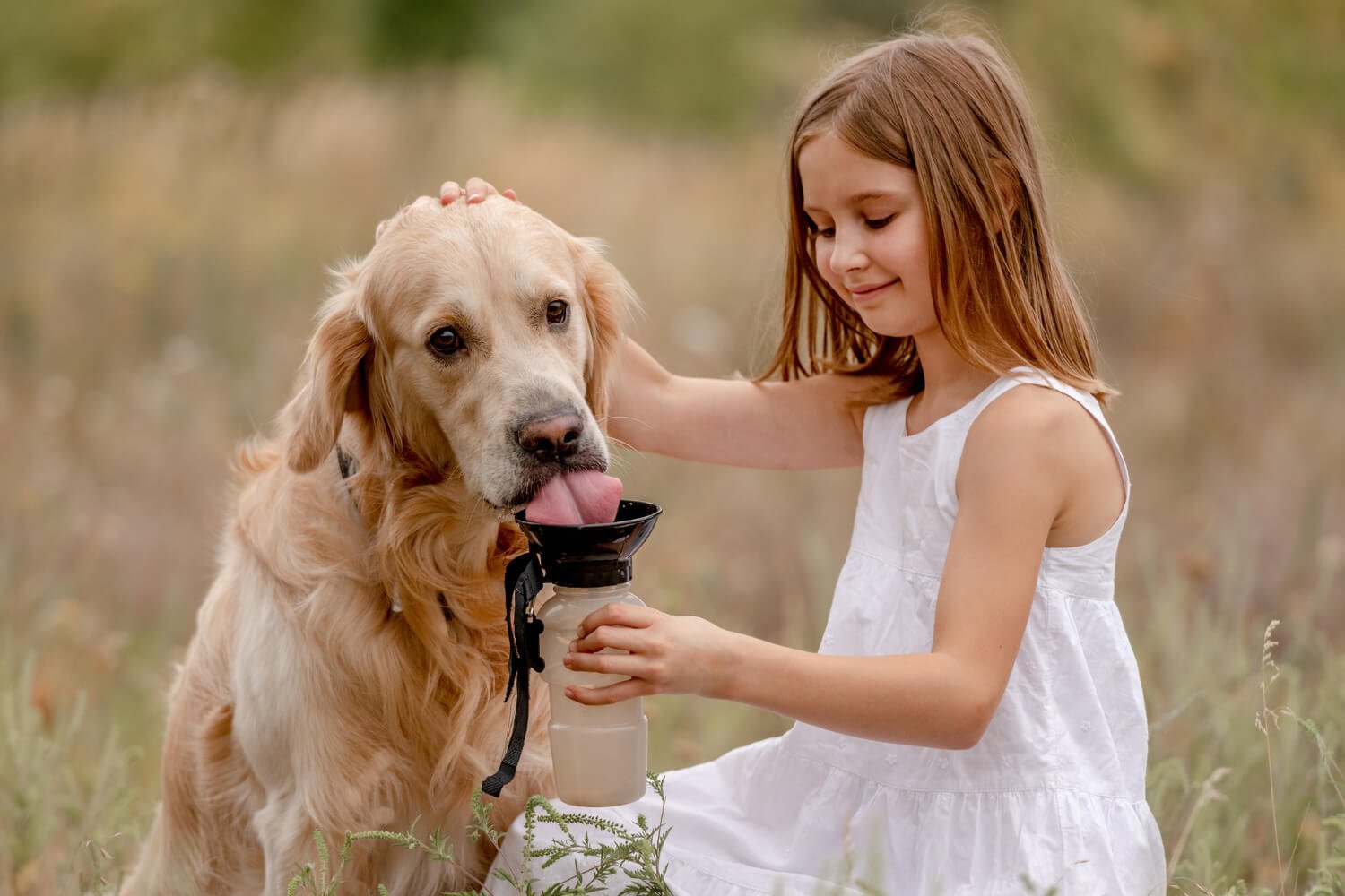 pet(1)