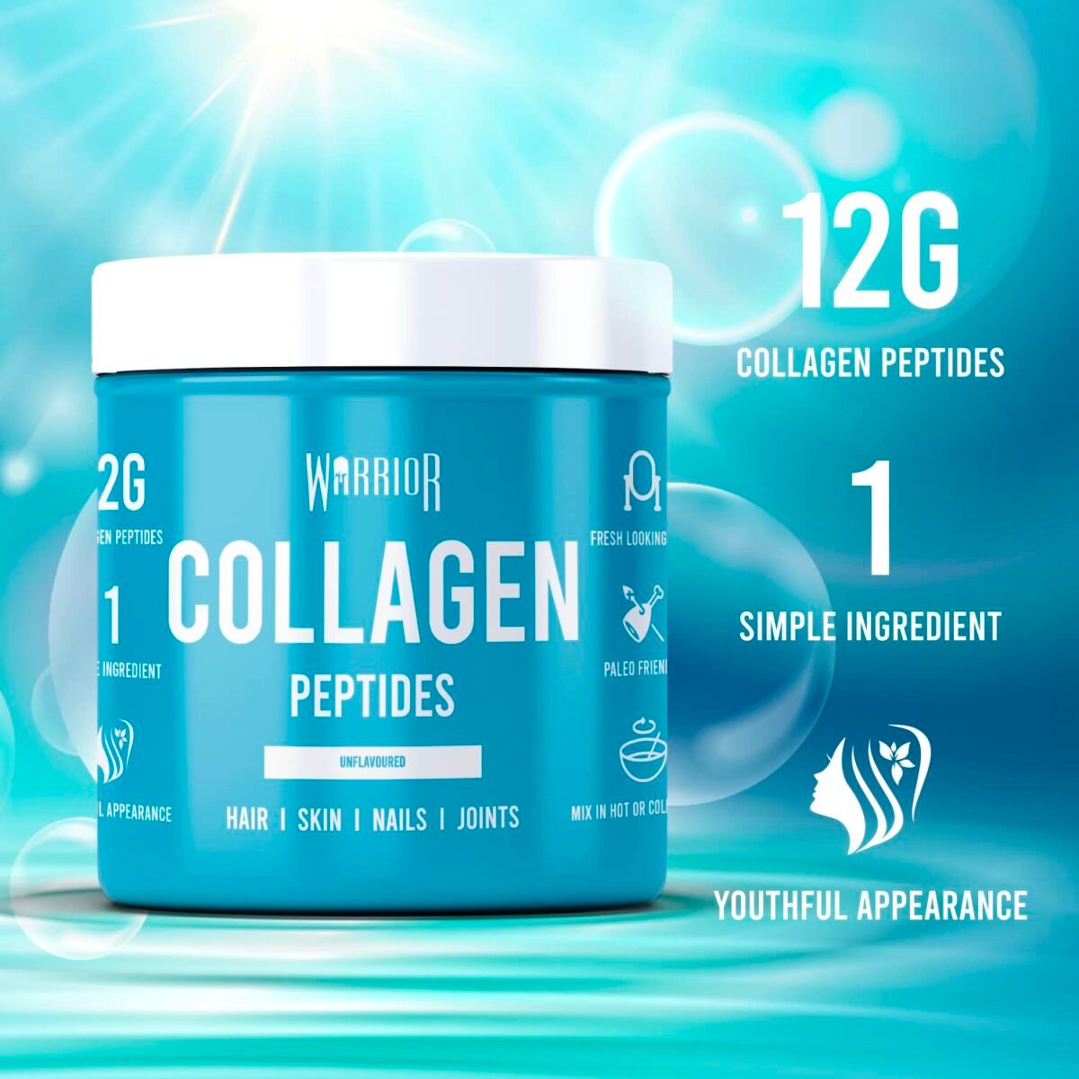Version 1.0.0 Warrior Collagen Collagen Powder